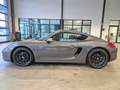 Porsche Cayman CAYMAN 981 NAVI XENON SITZHZ PDC 20 Z`ALU UFREI Grau - thumbnail 8