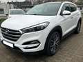 Hyundai TUCSON Premium 4WD Weiß - thumbnail 1