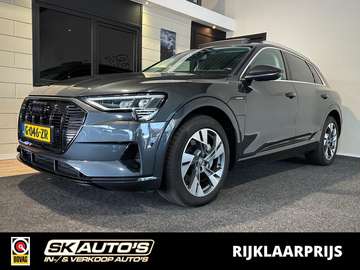 E-TRON 50 Q L ED+ l NAP l PANORAMA l SOH 93,6% l E