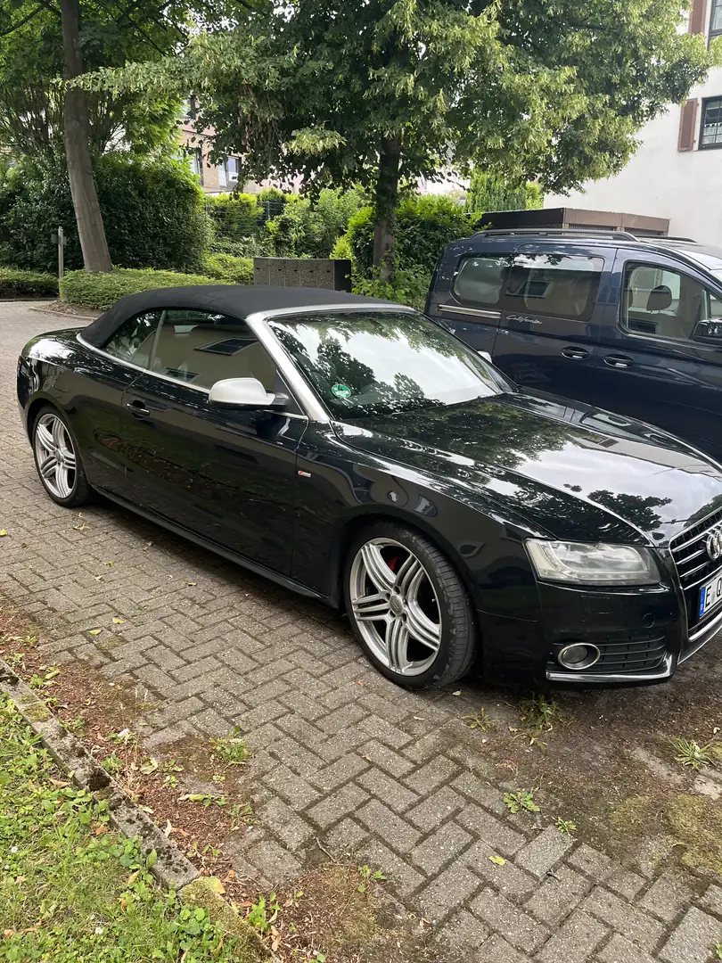 Audi A5 Cabrio 3.0 TDI DPF quattro S tronic - 1