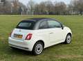 Fiat 500C 1.2 Cabriolet Black&White / Climate/ Cruise / PDC Wit - thumbnail 5