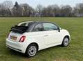 Fiat 500C 1.2 Cabriolet Black&White / Climate/ Cruise / PDC Wit - thumbnail 13