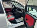 Fiat Panda 1.3 Multijet Lounge “Neopatentati” Bianco - thumbnail 12