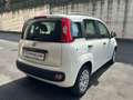 Fiat Panda 1.3 Multijet Lounge “Neopatentati” Bianco - thumbnail 7