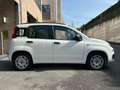Fiat Panda 1.3 Multijet Lounge “Neopatentati” Bianco - thumbnail 4