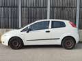Fiat Punto 1.2 *KLIMA* Weiß - thumbnail 3
