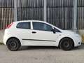 Fiat Punto 1.2 *KLIMA* Weiß - thumbnail 4