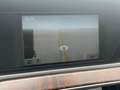 Mercedes-Benz C 250 CDI 4MATIC Aut. Navi Leder Pano Standhzg Weiß - thumbnail 9