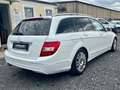 Mercedes-Benz C 250 CDI 4MATIC Aut. Navi Leder Pano Standhzg Weiß - thumbnail 16