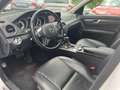 Mercedes-Benz C 250 CDI 4MATIC Aut. Navi Leder Pano Standhzg Weiß - thumbnail 7
