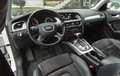 Audi A4 A4 AVANT V6 3.0 TDI 204 Business Line Multitronic A Blanc - thumbnail 4