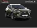 Lexus NX 350h EU6d Apple Carplay Grün - thumbnail 1