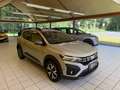 Dacia Sandero Stepway Expression+ TCe100 LPG, LED, Ganzj., PDC Gris - thumbnail 6