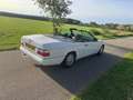 Mercedes-Benz CE 300 (W124) Cabrio CE-24 Weiß - thumbnail 7