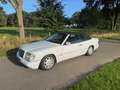 Mercedes-Benz CE 300 (W124) Cabrio CE-24 Weiß - thumbnail 26