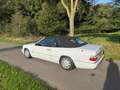 Mercedes-Benz CE 300 (W124) Cabrio CE-24 Weiß - thumbnail 21