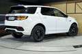 Land Rover Discovery Sport 2.0D TD4 163PS AWD Aut MHEV RDynamic S Weiß - thumbnail 5