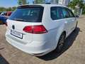 Volkswagen Golf VII 1.4 TSI Allstar NAVI CAM LM SHZ TEMPOM Weiß - thumbnail 4
