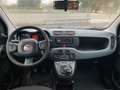 Fiat Panda 1.3 mjt 16v Easy s&s Bianco - thumbnail 5