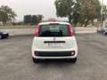 Fiat Panda 1.3 mjt 16v Easy s&s Bianco - thumbnail 4
