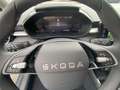 Skoda Fabia 1.0 130 Jahre Navi-RFK-SHZ-GRA-LED Bluetooth Grau - thumbnail 8