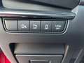 Mazda 3 3 5p 2.5 m-hybrid Homura 140cv Rojo - thumbnail 14