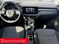 Skoda Fabia 1.0 TSI DSG Selection LED NAVI PANO ACC PDC KEYLES Schwarz - thumbnail 13