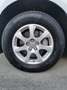 Audi Q5 3,0 TDI quattro clean Diesel S-tronic Grau - thumbnail 13