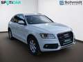 Audi Q5 3,0 TDI quattro clean Diesel S-tronic Weiß - thumbnail 6