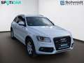 Audi Q5 3,0 TDI quattro clean Diesel S-tronic Weiß - thumbnail 1