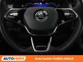 Skoda Kodiaq 2.0 TDI Style SC 4x4 Schwarz - thumbnail 19