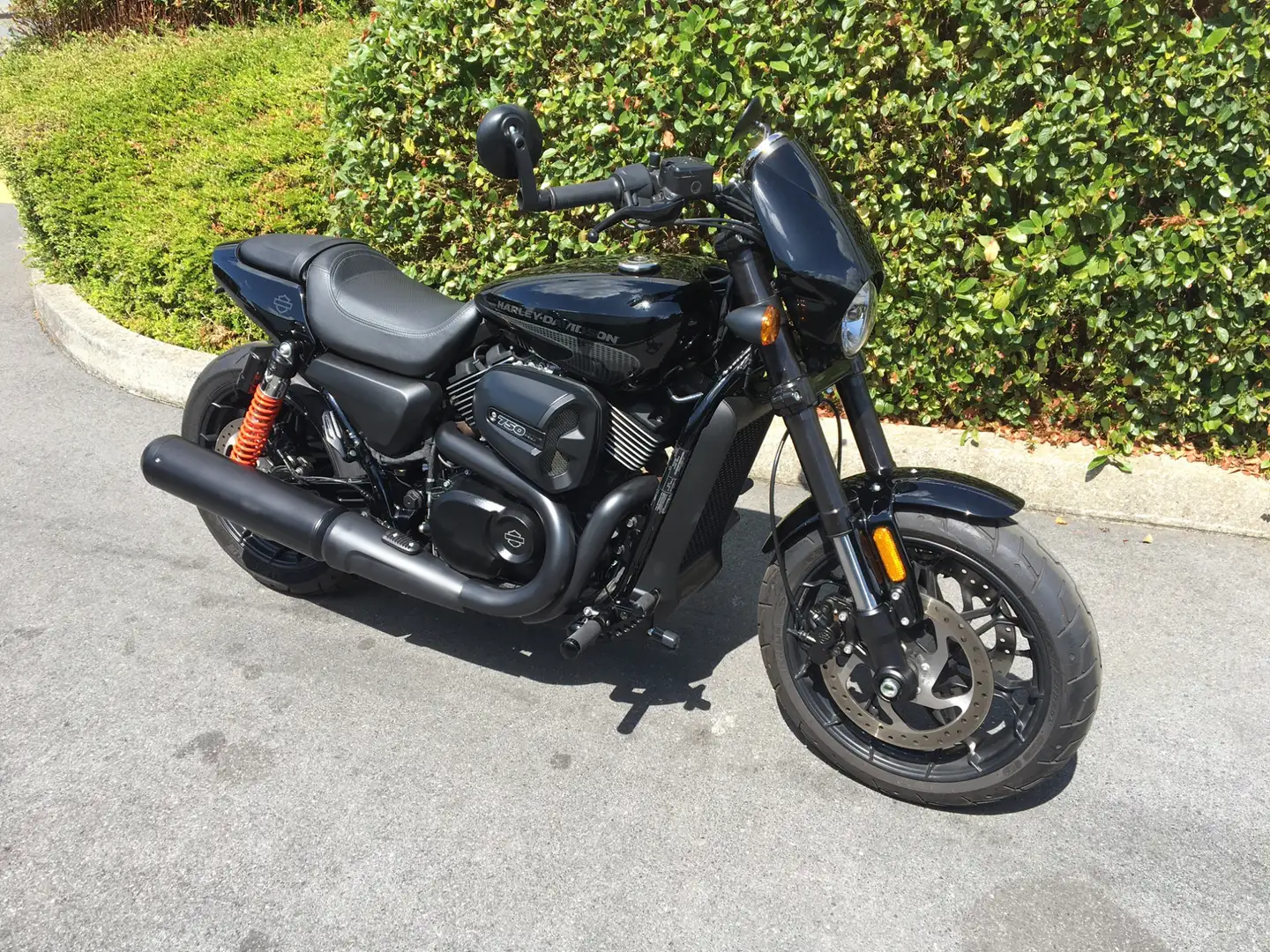 Harley-Davidson Street Rod - 2