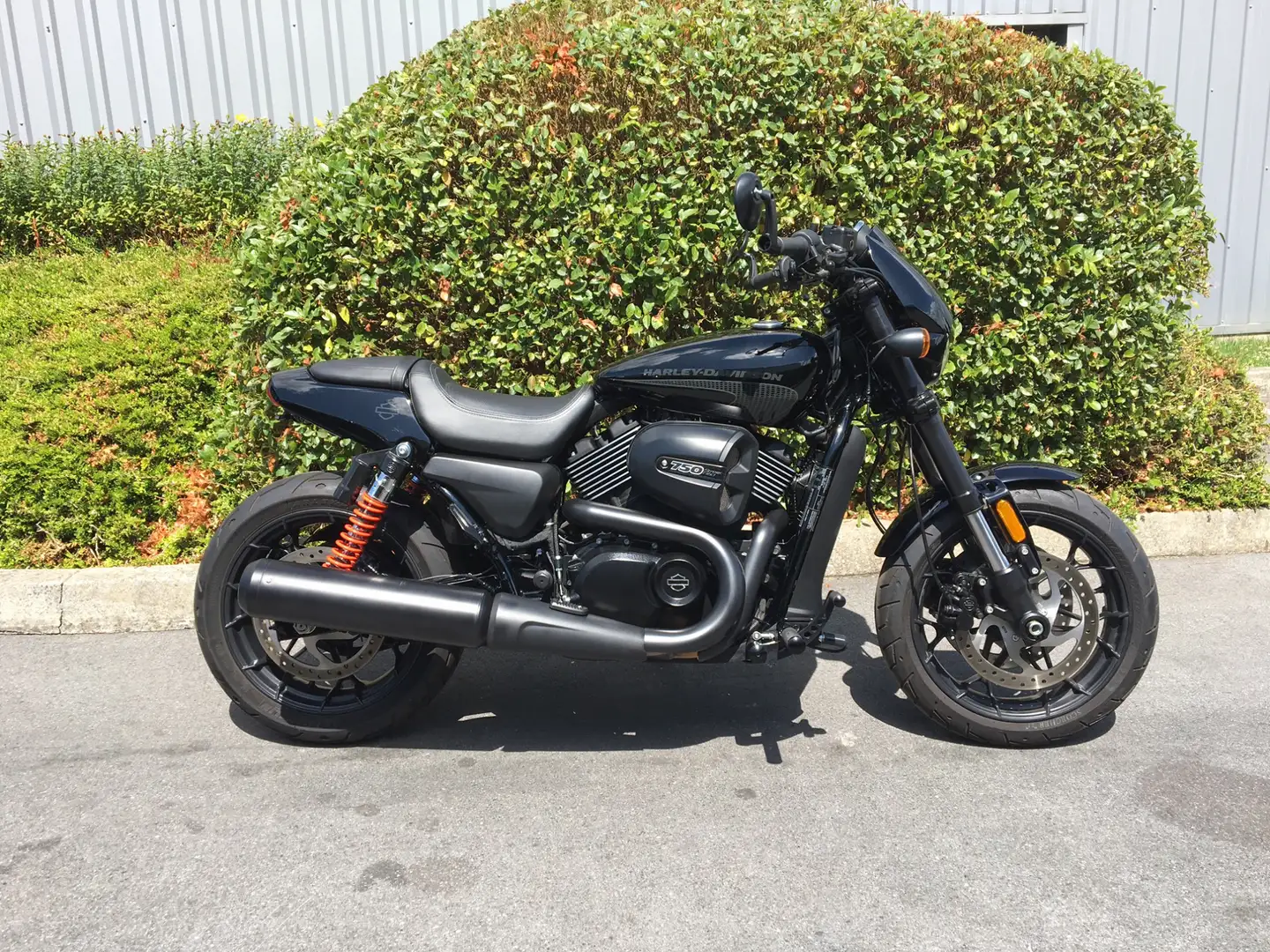 Harley-Davidson Street Rod - 1