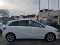 Mercedes-Benz B 180 d Urban LED|Navi|Kamera|Allwetter Weiß - thumbnail 7