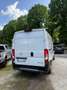Opel Movano Bianco - thumbnail 4