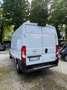 Opel Movano Bianco - thumbnail 3