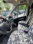 Opel Movano Bianco - thumbnail 5