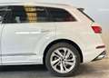 Audi Q7 50 TDI S line quattro Blanco - thumbnail 25