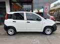 Fiat Panda Van 1.0 hybrid Pop 70cv 2p.ti serie 4 E6d Blanc - thumbnail 9
