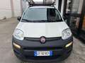 Fiat Panda Van 1.0 hybrid Pop 70cv 2p.ti serie 4 E6d Blanc - thumbnail 7
