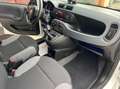 Fiat Panda Van 1.0 hybrid Pop 70cv 2p.ti serie 4 E6d Blanc - thumbnail 12