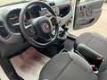 Fiat Panda Van 1.0 hybrid Pop 70cv 2p.ti serie 4 E6d Blanc - thumbnail 11