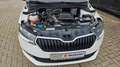 Skoda Fabia Cool Plus Weiß - thumbnail 6