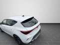 CUPRA Leon 1,5 TSI DSG NAVI/LED/Spurhalteassistent/u.v Weiß - thumbnail 7