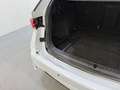 Skoda Octavia Combi 1.0 TSI MHEV Sport Aut7 Blanco - thumbnail 48