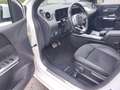 Mercedes-Benz B 200 AMG Premium Tetto Apribile Tagliandi Mercedes Blanc - thumbnail 14