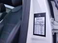 Mercedes-Benz B 200 AMG Premium Tetto Apribile Tagliandi Mercedes Blanc - thumbnail 16