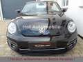 Volkswagen Beetle 1.2 TSI SOUND Kamera Navi AppCon. SHZ Schwarz - thumbnail 5