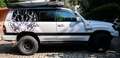 Toyota Land Cruiser 100 4.2 tdi auto Argento - thumbnail 3