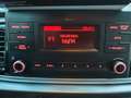 Kia Rio Dream Team/KLIMA/MFL/SITZHZ./PDC/LED/USB/AUX Schwarz - thumbnail 15
